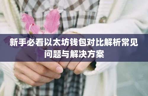 新手必看以太坊钱包对比解析常见问题与解决方案