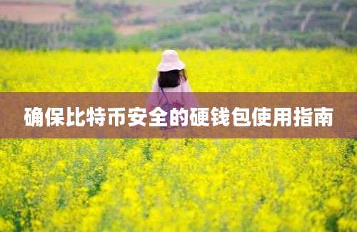 确保比特币安全的硬钱包使用指南