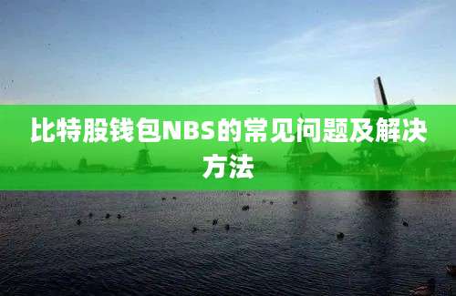 比特股钱包NBS的常见问题及解决方法