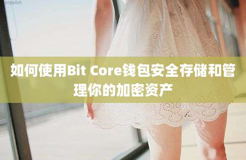 如何使用Bit Core钱包安全存储和管理你的加密资产