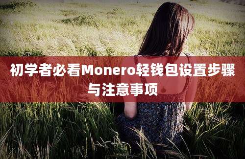 初学者必看Monero轻钱包设置步骤与注意事项