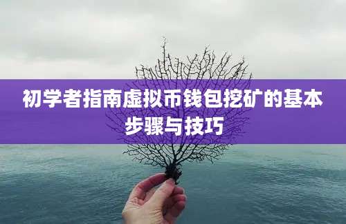 初学者指南虚拟币钱包挖矿的基本步骤与技巧