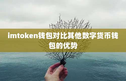 imtoken钱包对比其他数字货币钱包的优势