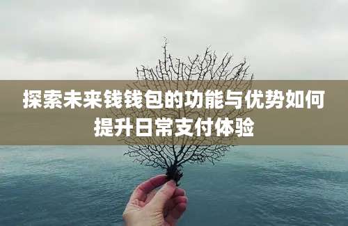 探索未来钱钱包的功能与优势如何提升日常支付体验