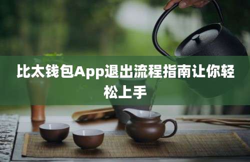 比太钱包App退出流程指南让你轻松上手