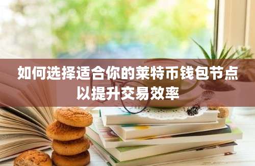 如何选择适合你的莱特币钱包节点以提升交易效率