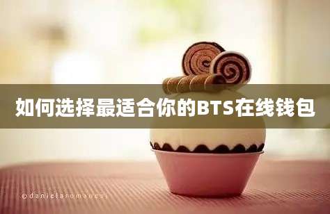 如何选择最适合你的BTS在线钱包