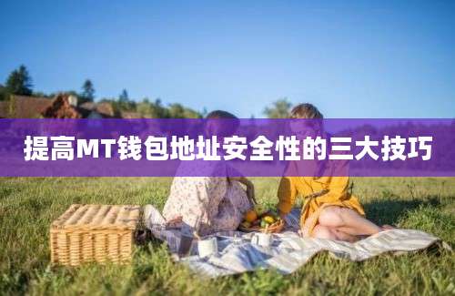 提高MT钱包地址安全性的三大技巧