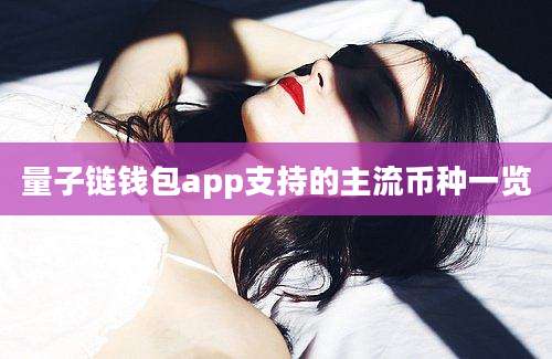 量子链钱包app支持的主流币种一览