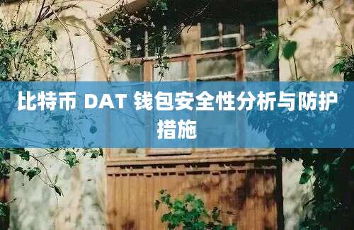 比特币 DAT 钱包安全性分析与防护措施