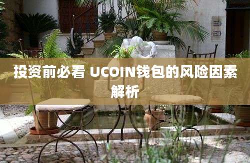 投资前必看 UCOIN钱包的风险因素解析