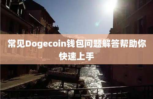 常见Dogecoin钱包问题解答帮助你快速上手