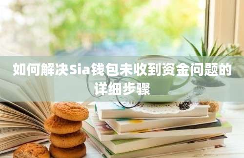 如何解决Sia钱包未收到资金问题的详细步骤