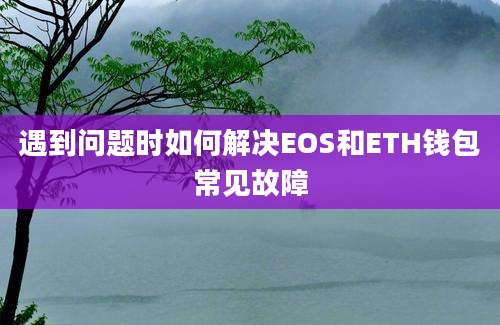 遇到问题时如何解决EOS和ETH钱包常见故障