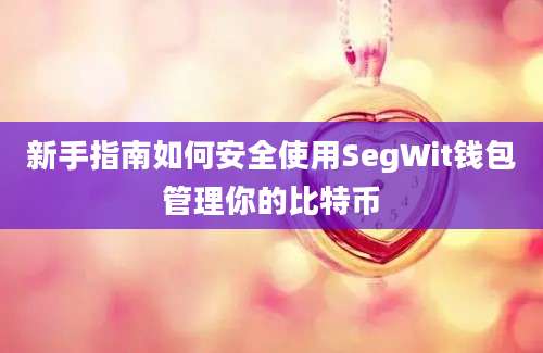 新手指南如何安全使用SegWit钱包管理你的比特币