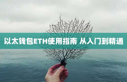 以太钱包ETH使用指南 从入门到精通