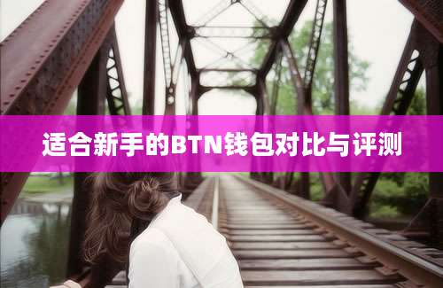 适合新手的BTN钱包对比与评测