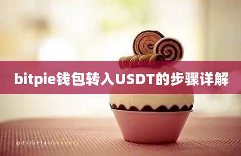 bitpie钱包转入USDT的步骤详解