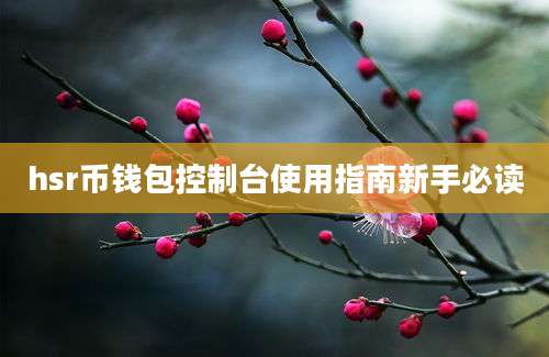 hsr币钱包控制台使用指南新手必读