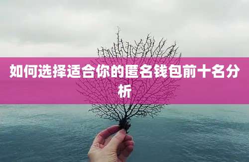 如何选择适合你的匿名钱包前十名分析