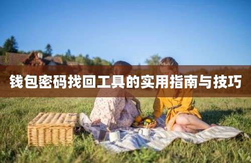 钱包密码找回工具的实用指南与技巧