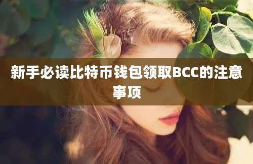 新手必读比特币钱包领取BCC的注意事项