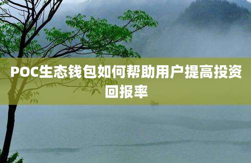 POC生态钱包如何帮助用户提高投资回报率