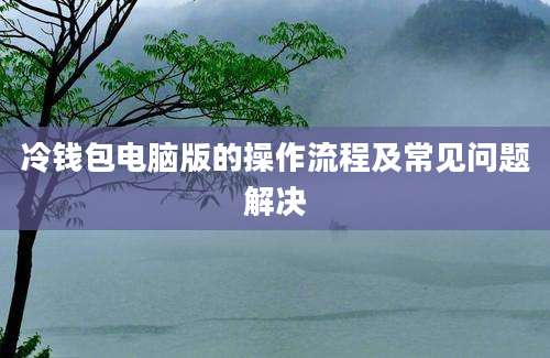 冷钱包电脑版的操作流程及常见问题解决