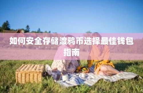 如何安全存储渡鸦币选择最佳钱包指南