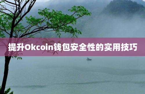 提升Okcoin钱包安全性的实用技巧