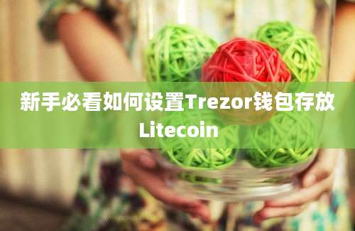 新手必看如何设置Trezor钱包存放Litecoin