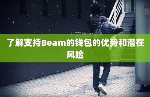 了解支持Beam的钱包的优势和潜在风险