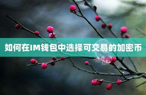 如何在IM钱包中选择可交易的加密币