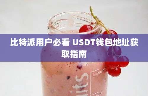 比特派用户必看 USDT钱包地址获取指南