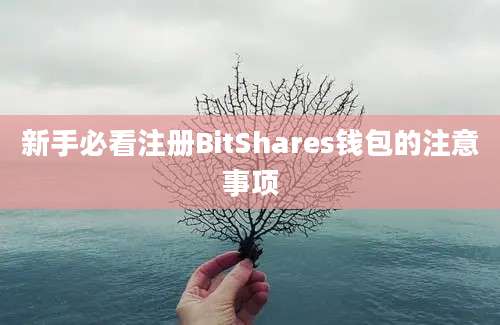 新手必看注册BitShares钱包的注意事项