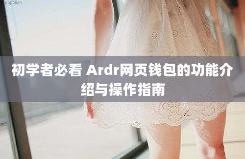 初学者必看 Ardr网页钱包的功能介绍与操作指南