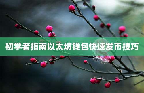 初学者指南以太坊钱包快速发币技巧