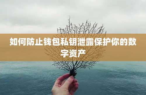 如何防止钱包私钥泄露保护你的数字资产