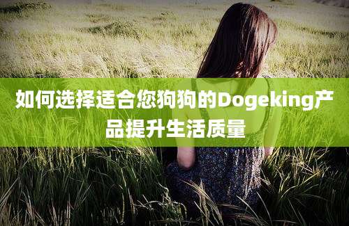 如何选择适合您狗狗的Dogeking产品提升生活质量