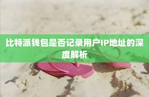 比特派钱包是否记录用户IP地址的深度解析