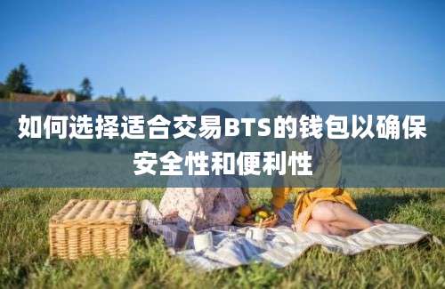 如何选择适合交易BTS的钱包以确保安全性和便利性