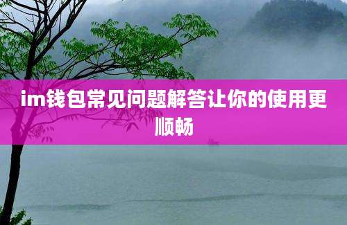 im钱包常见问题解答让你的使用更顺畅