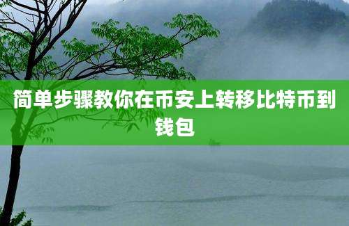 简单步骤教你在币安上转移比特币到钱包