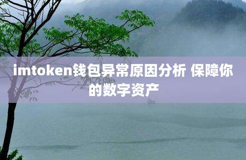 imtoken钱包异常原因分析 保障你的数字资产