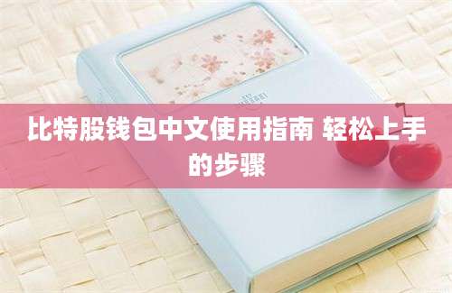 比特股钱包中文使用指南 轻松上手的步骤