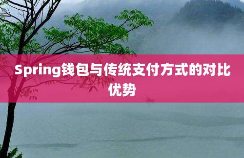 Spring钱包与传统支付方式的对比优势