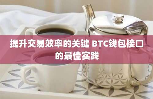 提升交易效率的关键 BTC钱包接口的最佳实践