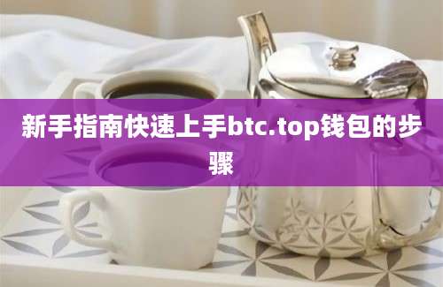 新手指南快速上手btc.top钱包的步骤