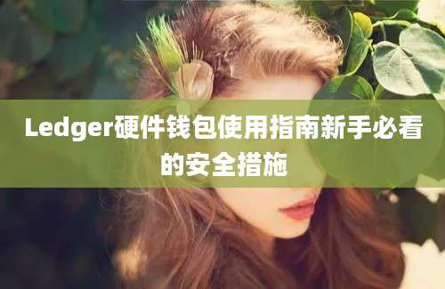 Ledger硬件钱包使用指南新手必看的安全措施