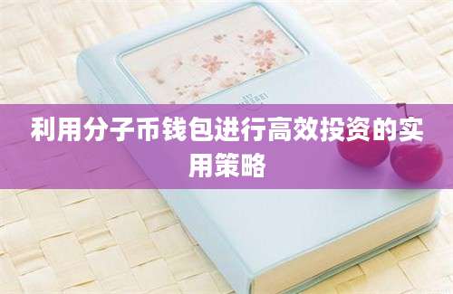 利用分子币钱包进行高效投资的实用策略